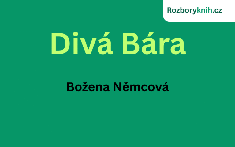 Divá Bára